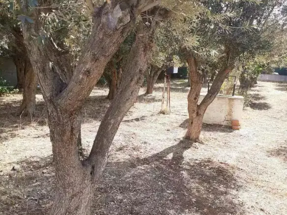 Land In Vari – Varkiza, Greece