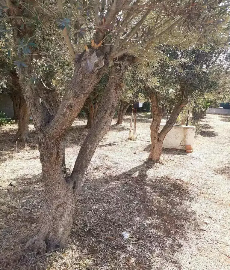 Land In Vari – Varkiza, Greece