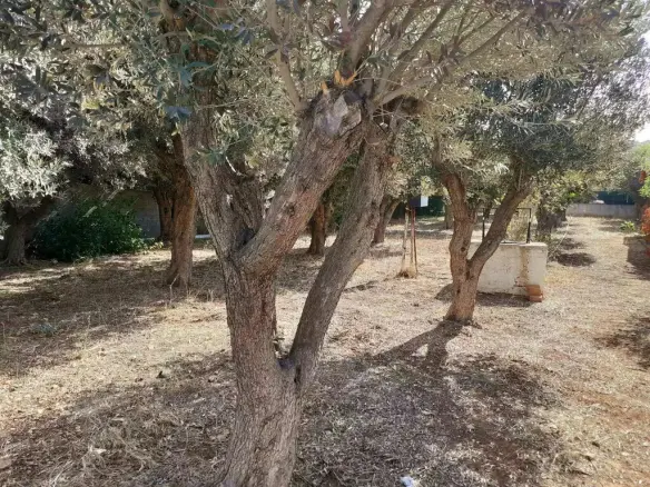 Land In Vari – Varkiza, Greece
