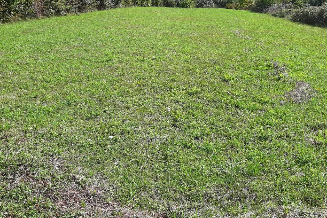 Land Of 1818 M² With Mountains & Coast Nearby In Podgorica