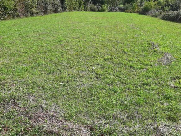Land Of 1818 M² With Mountains & Coast Nearby In Podgorica