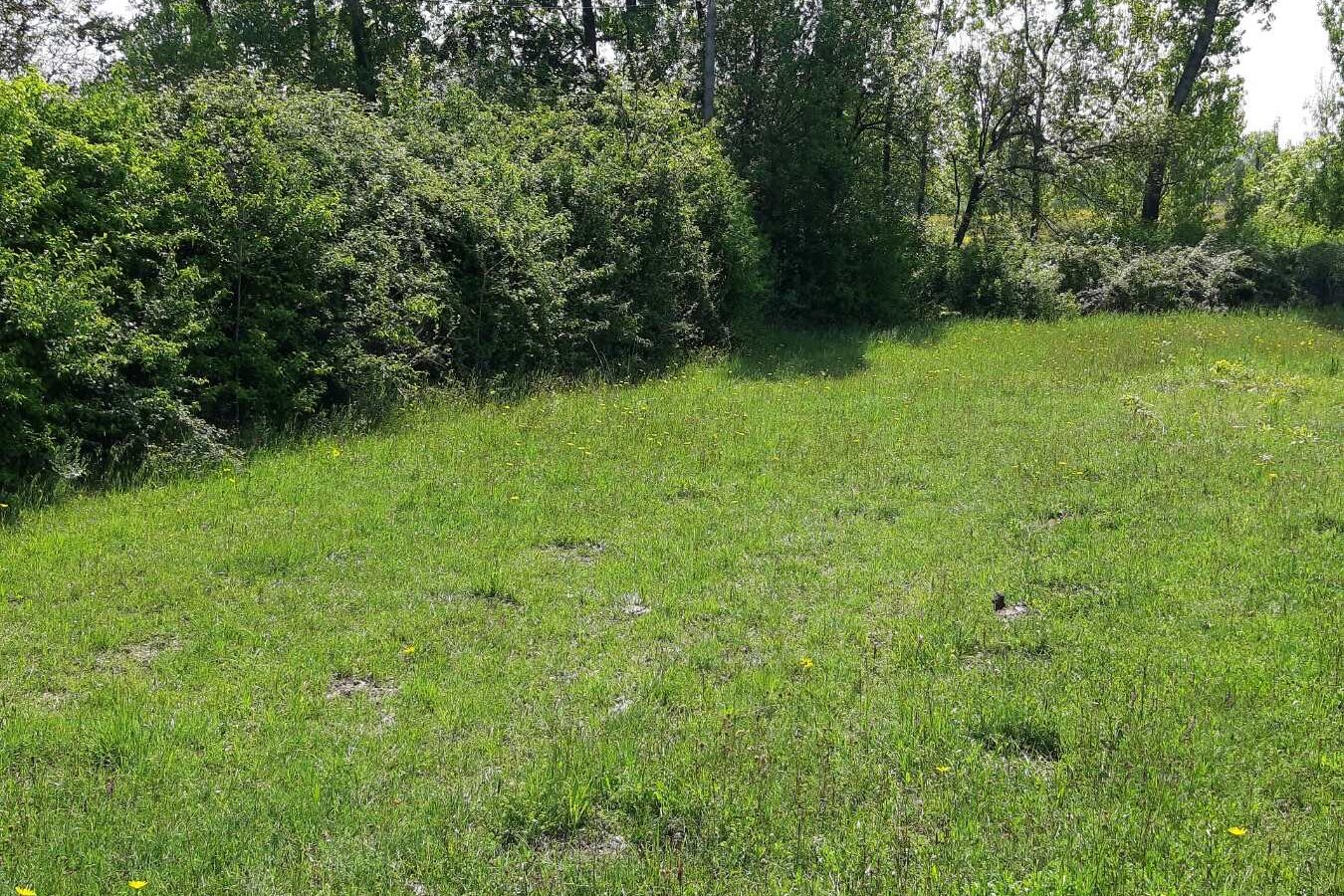Land Of 1818 M² With Mountains & Coast Nearby In Podgorica