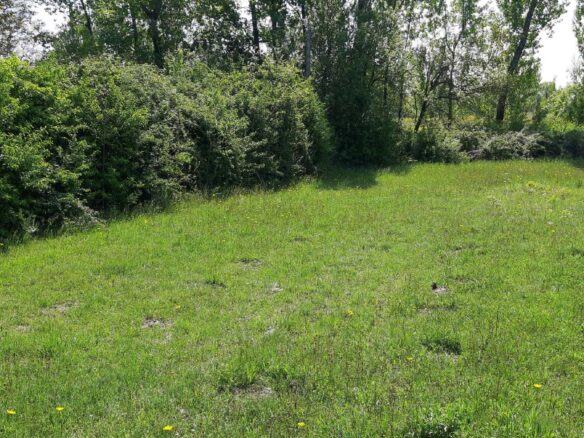 Land Of 1818 M² With Mountains & Coast Nearby In Podgorica