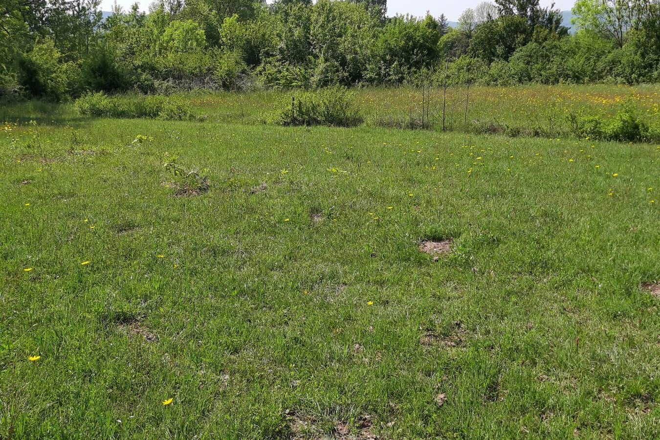 Land Of 1818 M² With Mountains & Coast Nearby In Podgorica