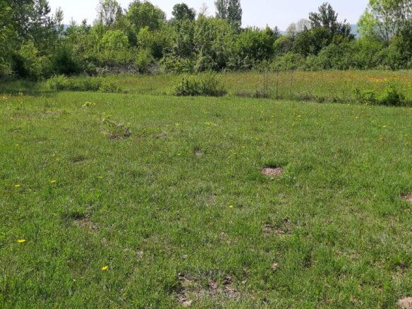 Land Of 1818 M² With Mountains & Coast Nearby In Podgorica