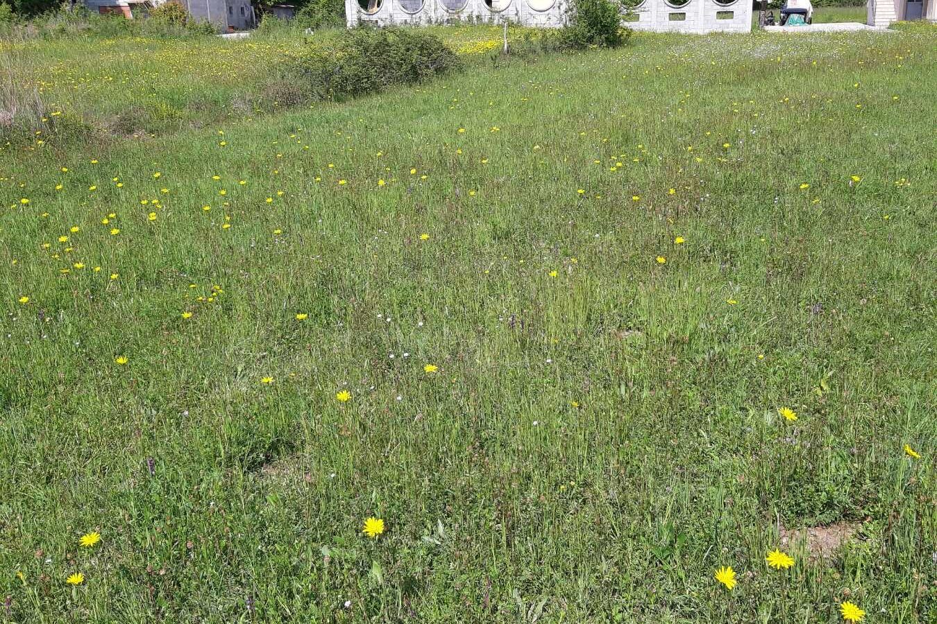 Land Of 1818 M² With Mountains & Coast Nearby In Podgorica