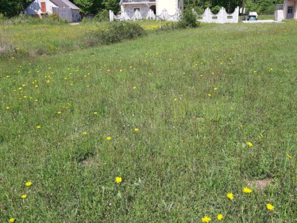 Land Of 1818 M² With Mountains & Coast Nearby In Podgorica