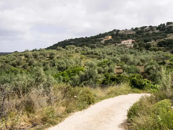 Land In Arkadi, Greece