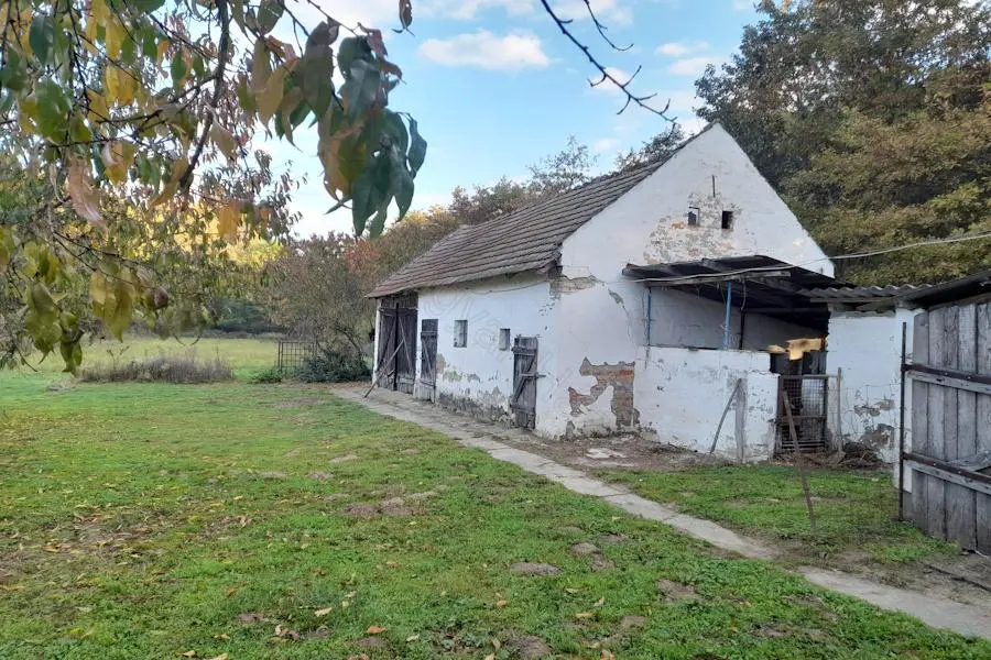 House Of 100 M² With Garden In Csokonyavisonta