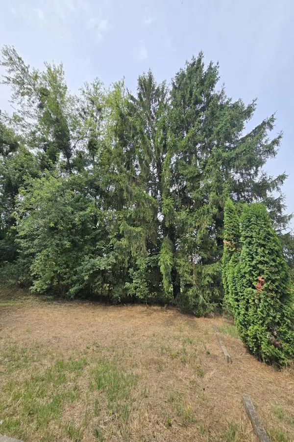 House Of 100 M² With Garden In Pusztaszentlászló, Zala