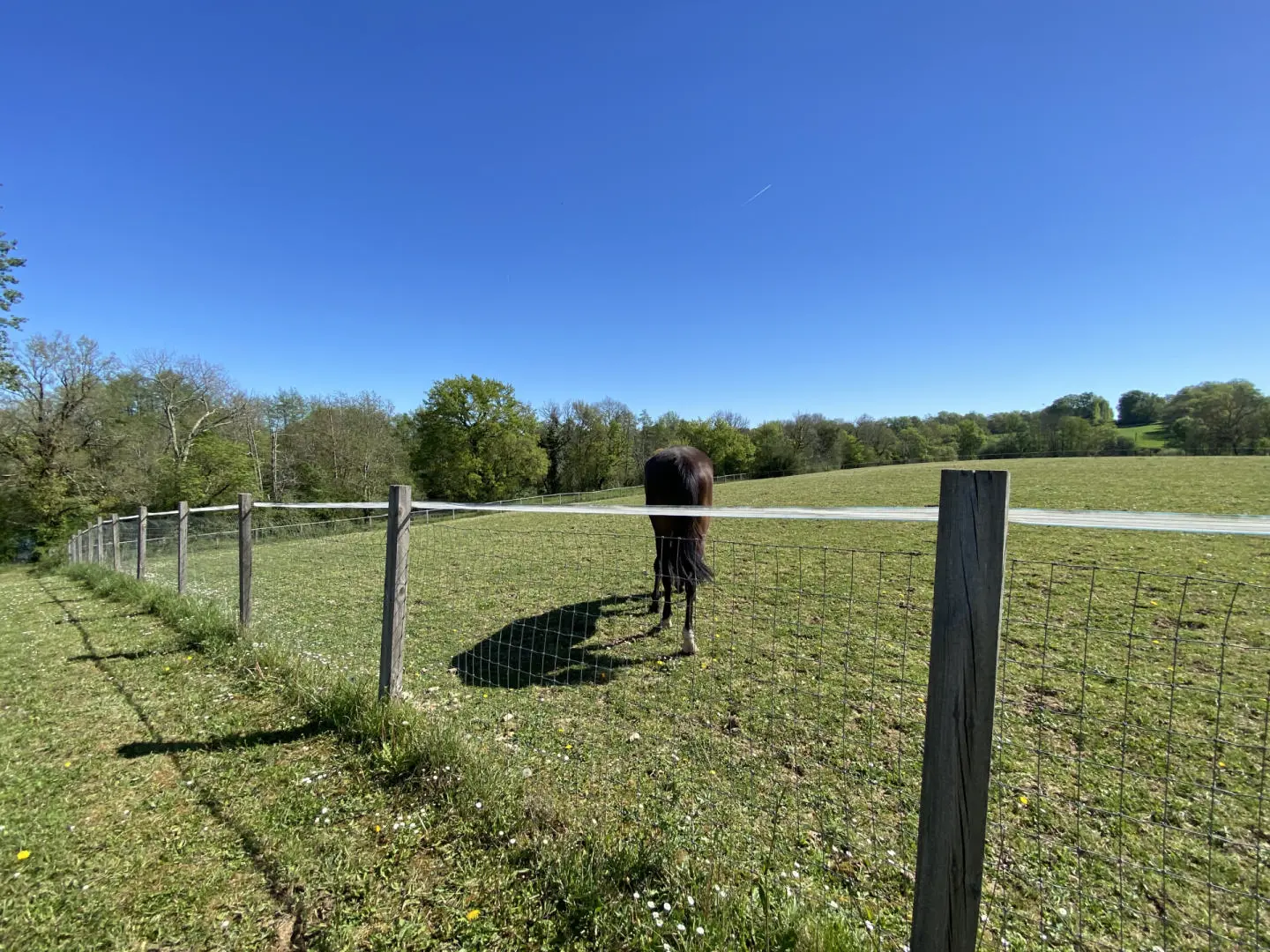 House Of 0 M² With Equestrian Facilities And Income Potential In Riverside