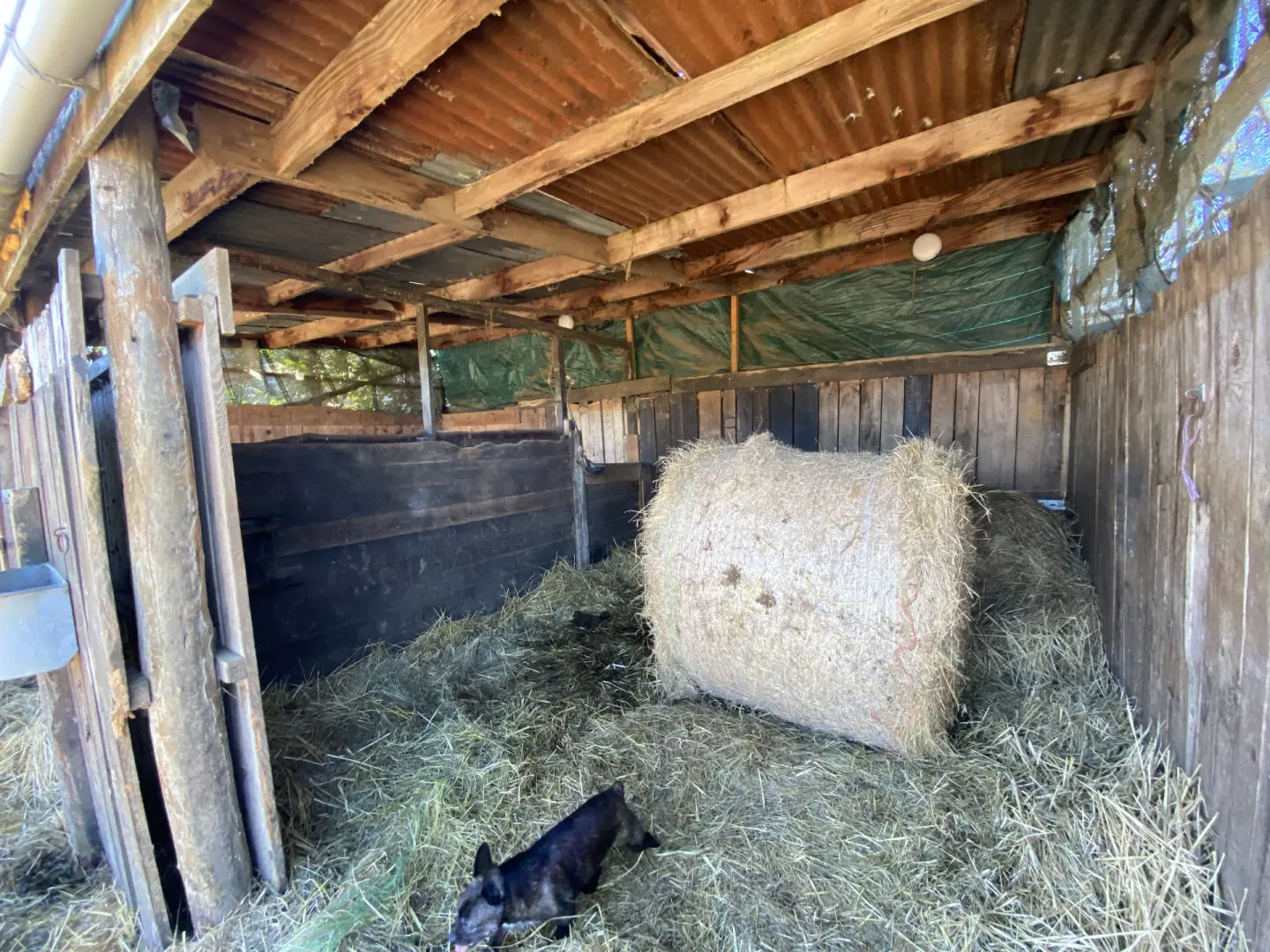 House Of 0 M² With Equestrian Facilities And Income Potential In Riverside