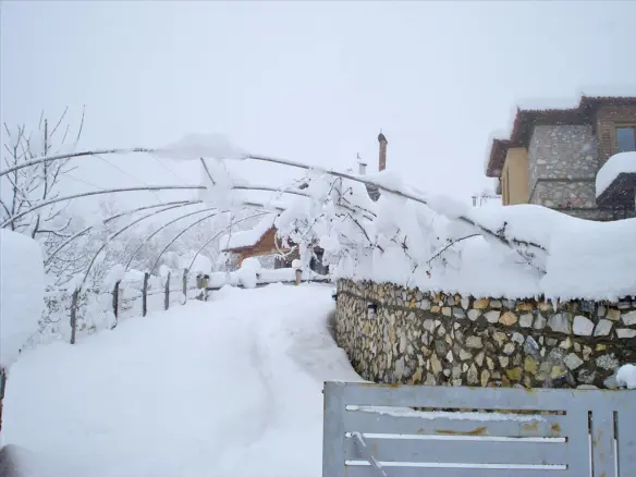Detached House Of 115 M² In Olympic Coast