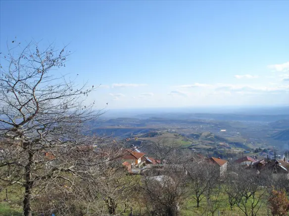 Detached House Of 115 M² In Olympic Coast