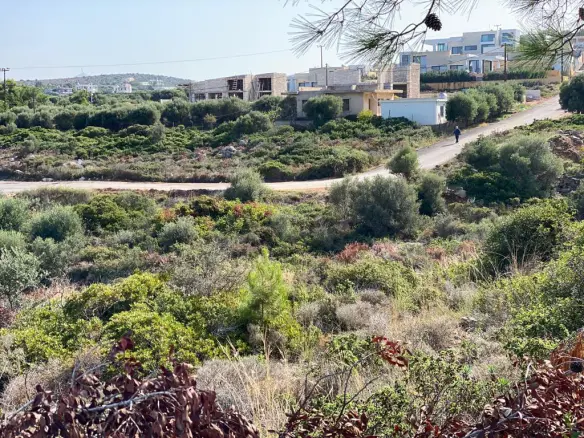 Land In Akrotiri, Greece