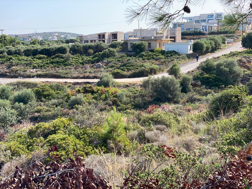 Land Of 1516 M² In Crete