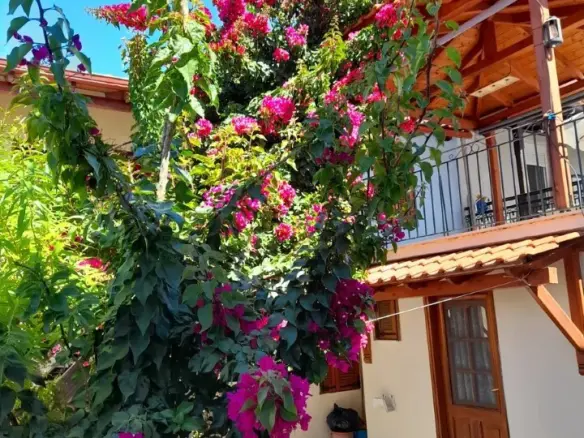Detached House In Sithonia, Greece (120 M²)