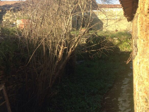 House Of 378 M² With Outbuildings In Azinhoso – Trás-os-montes