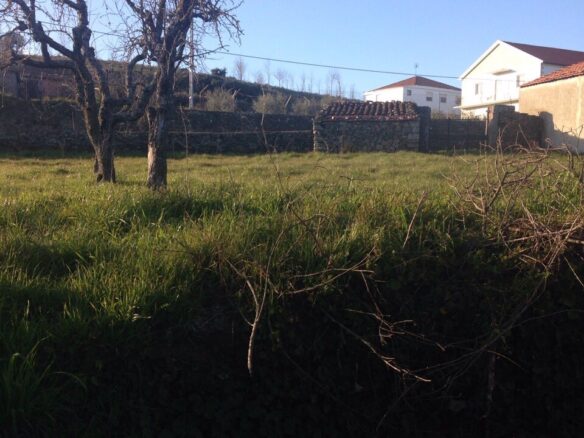 House Of 378 M² With Outbuildings In Azinhoso – Trás-os-montes