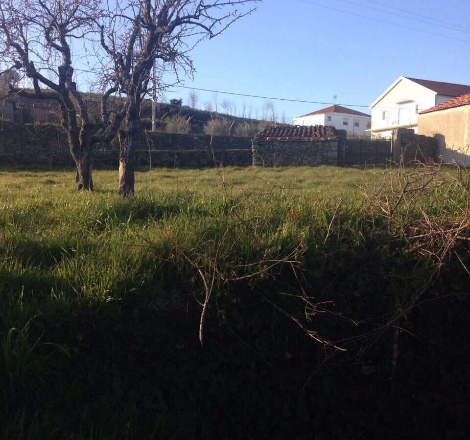 House Of 378 M² With Outbuildings In Azinhoso – Trás-os-montes