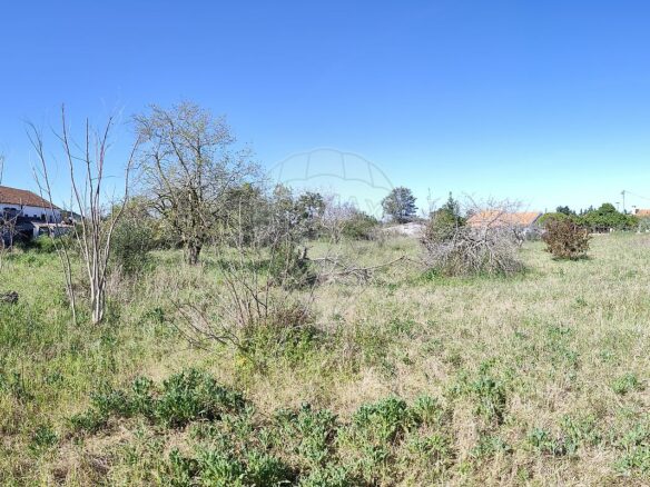 Urban Land Of 10,880 M² In Portugal