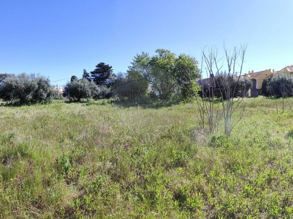 Urban Land Of 10,880 M² In Portugal