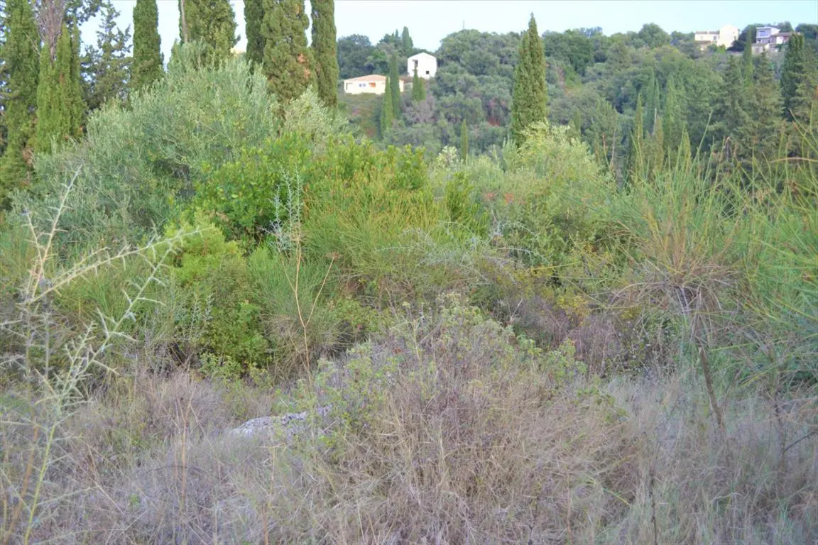 Land Of 5800 M² In Corfu