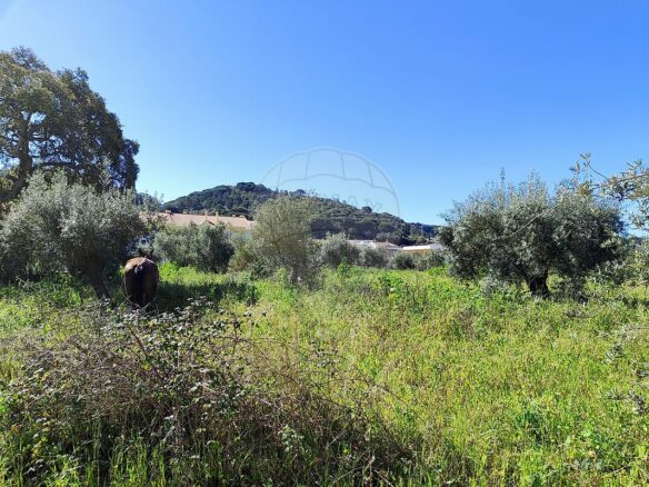 Urban Land Of 10,880 M² In Portugal
