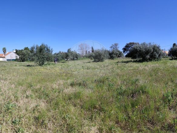 Urban Land Of 10,880 M² In Portugal