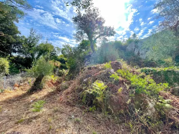 Land In Corfu, Greece