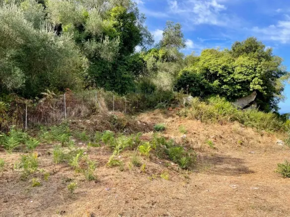 Land In Corfu, Greece