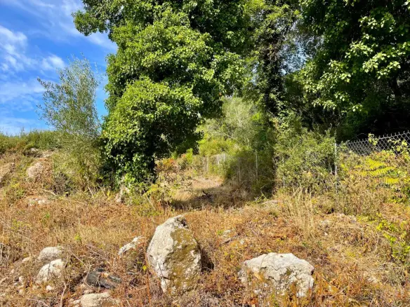 Land In Corfu, Greece