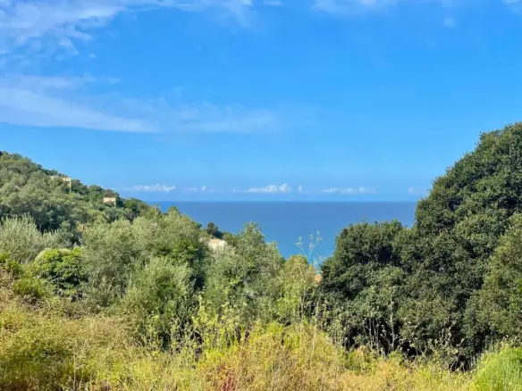 Land In Corfu, Greece