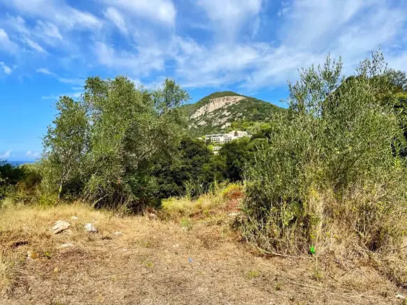 Land In Corfu, Greece