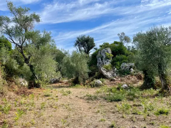 Land In Corfu, Greece