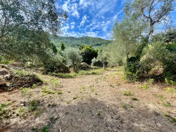 Land In Corfu, Greece