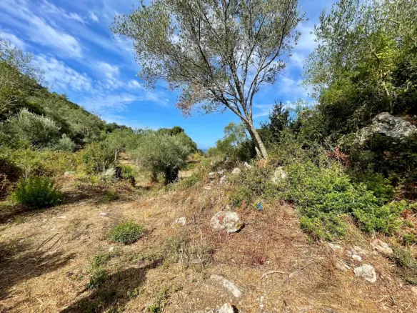 Land In Corfu, Greece