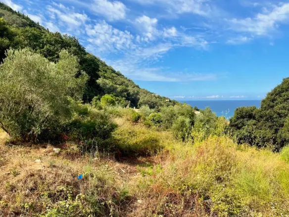 Land In Corfu, Greece