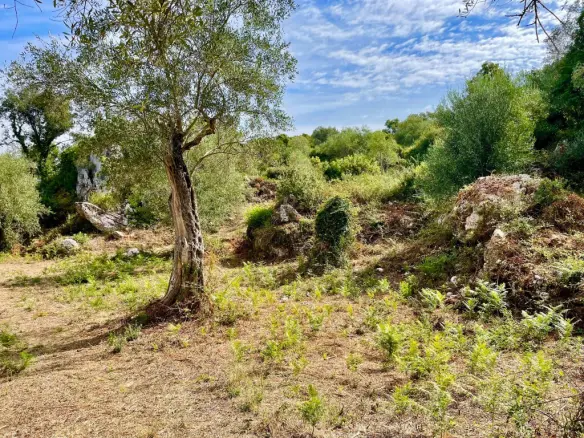 Land In Corfu, Greece