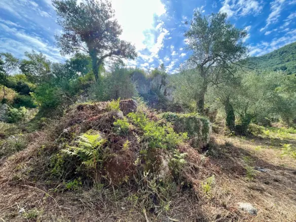 Land In Corfu, Greece