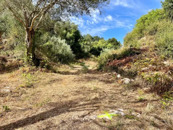 Land In Corfu, Greece