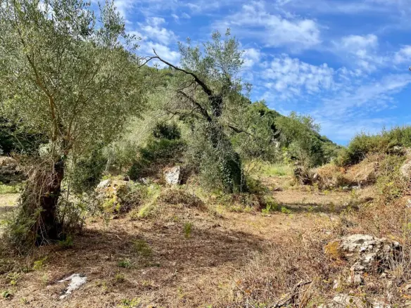 Land In Corfu, Greece