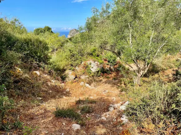 Land In Corfu, Greece