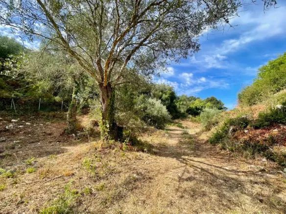 Land In Corfu, Greece