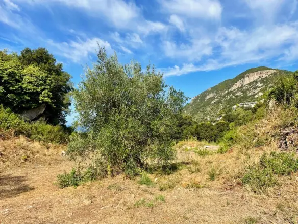 Land In Corfu, Greece