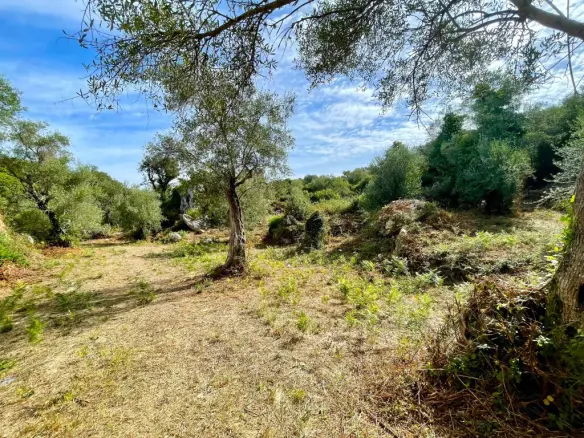 Land In Corfu, Greece