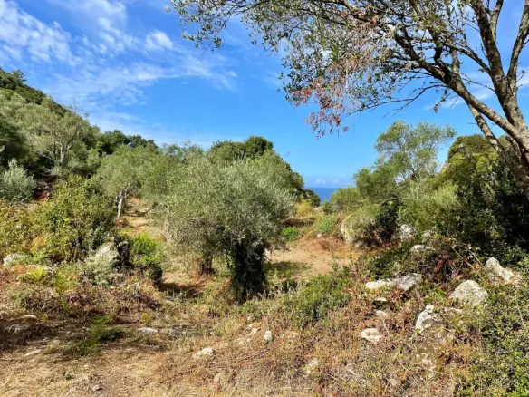 Land In Corfu, Greece