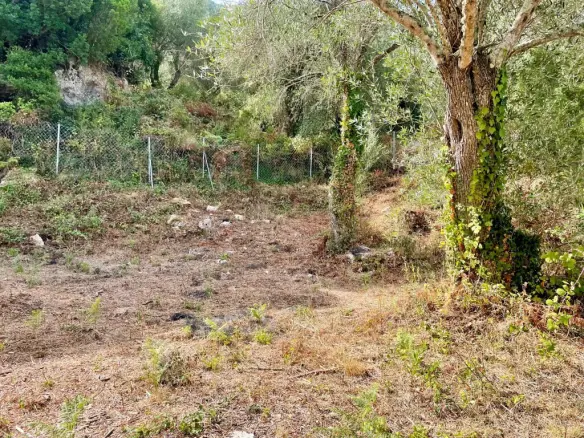 Land In Corfu, Greece