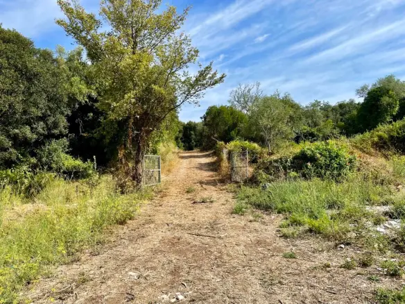 Land In Corfu, Greece