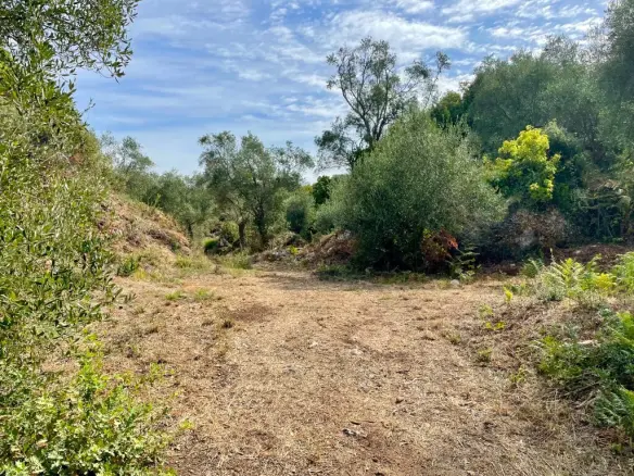 Land In Corfu, Greece